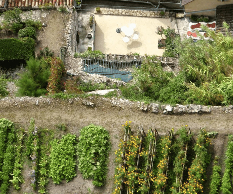 Aerial view of a real life French potager
