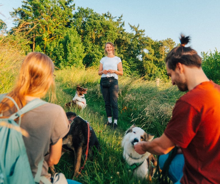 Gemeinsames Waldbaden in der Gruppe – Mensch-Hund-Teams achtsam unterwegs bei Takoda