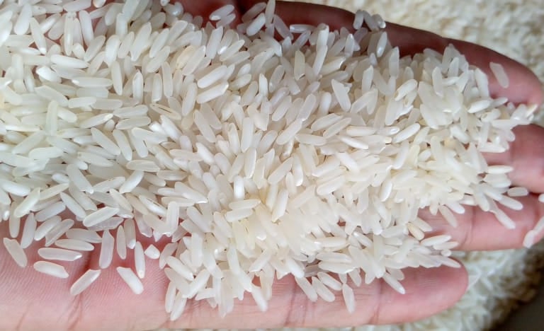 Biigest Basmati Rice Exporters Of Pakistan
