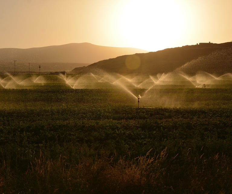 Horizon view of cropland with center pivot sprinklers irrigating the field at sunset.