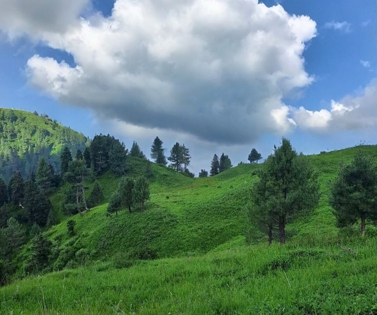 Miranjani top view in summer with clouds in background 