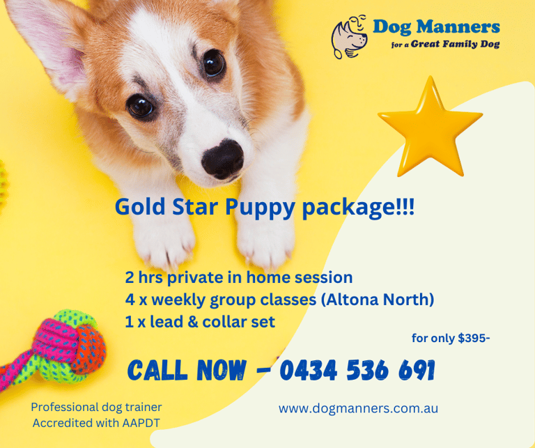 gold star puppy training package