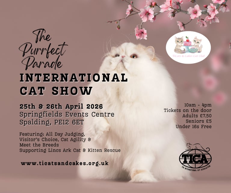 TiCats and Cakes Cat Club International Cat Show Poster