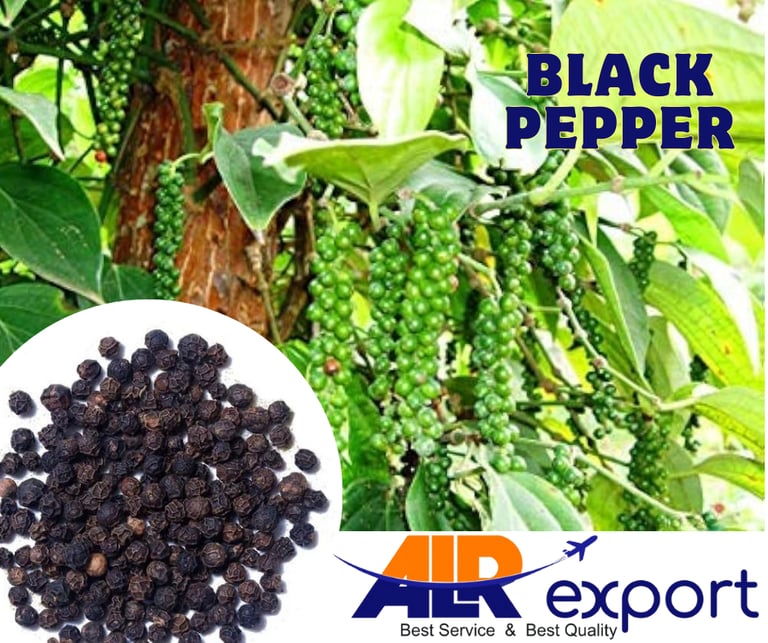 Black pepper for exporting to dubai