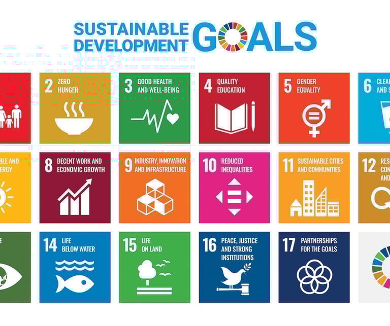 United Nation's sustainable development goals