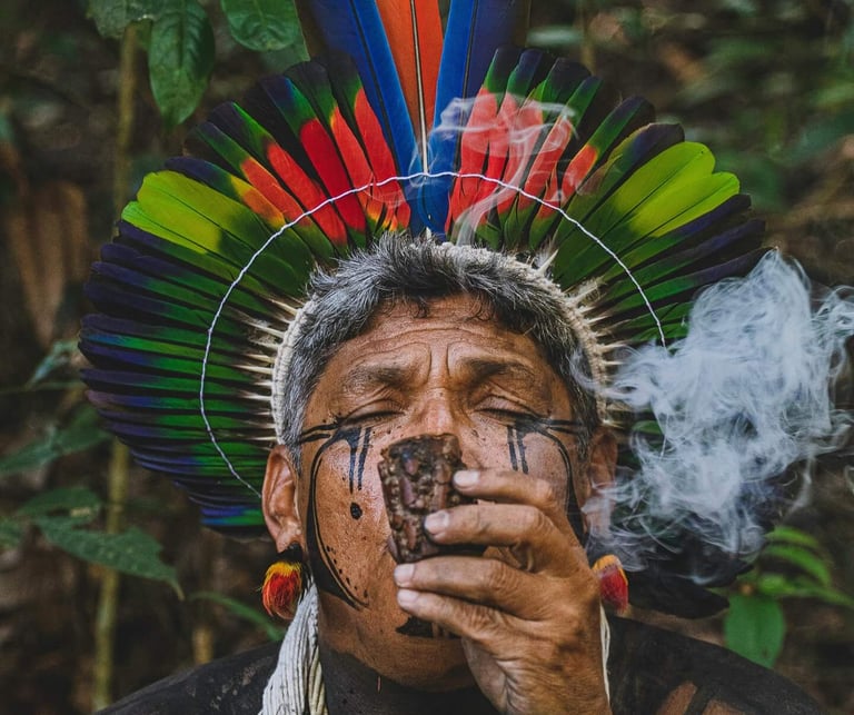 a man with a feathered headdress and a feathered headdress