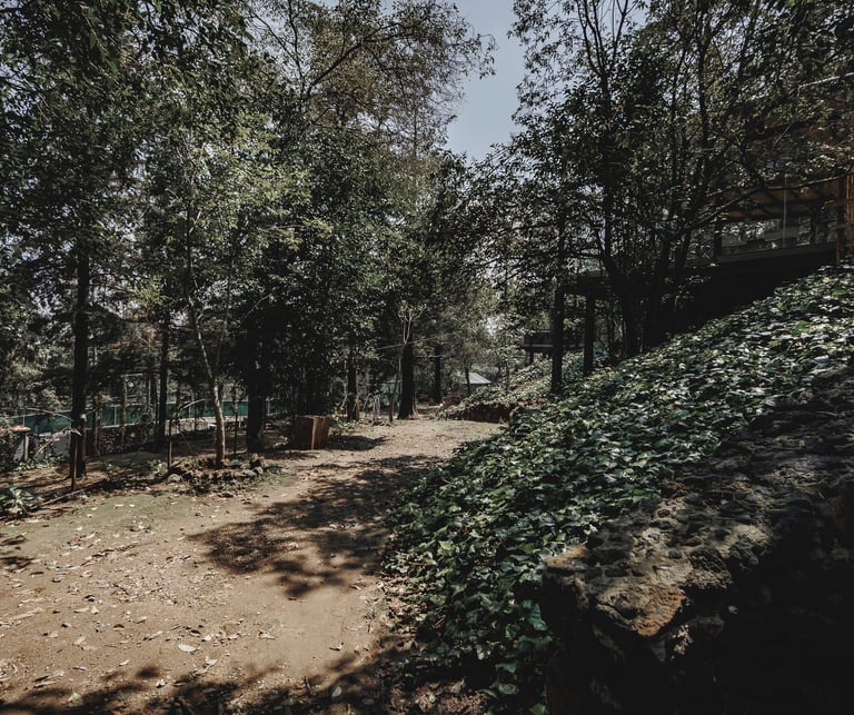 Terraza para eventos woodscape