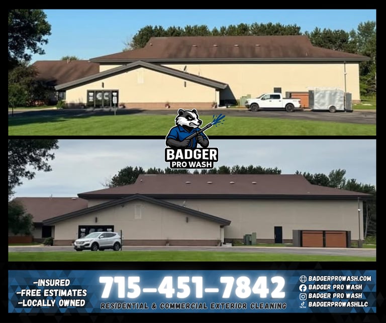 Roof cleaning service removing algae and moss from asphalt shingles