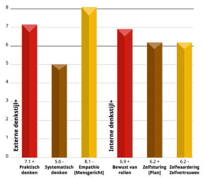 discover talentenanalyse