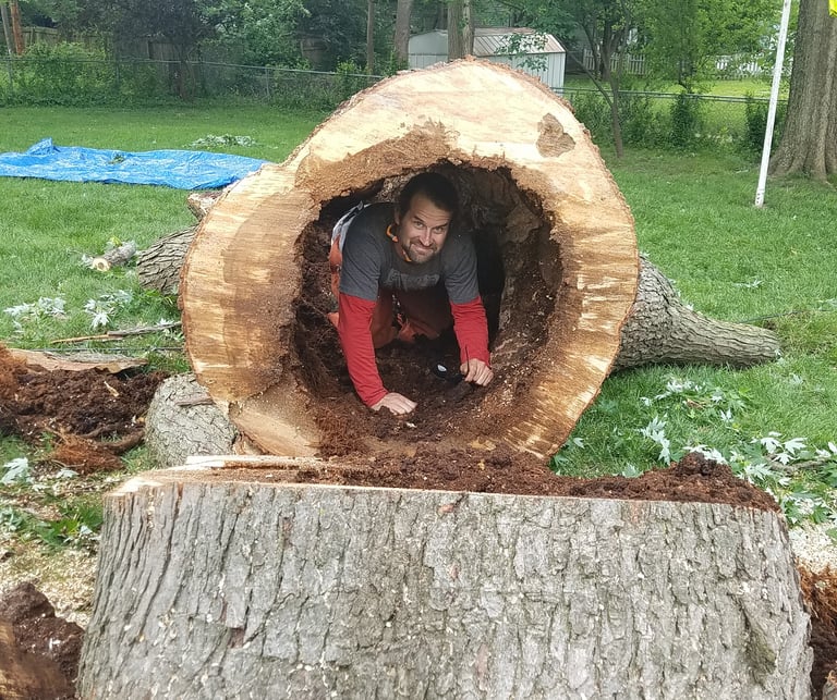 Shammah D'Urso inside a large Maple tree. Tree needed to be removed because of storm damage. Tree was in Overland Park Kansas