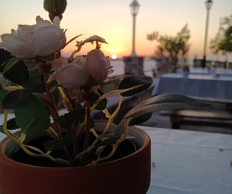 "Enjoy the Perfect Blend of Scenery and Flavor at John's Guesthouse Tavern in Ksamil!"