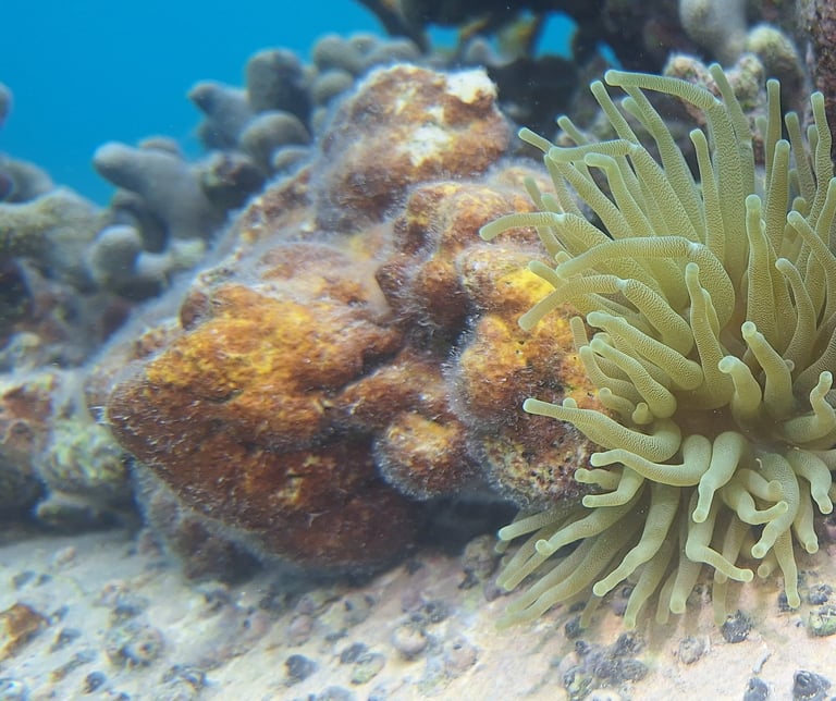 voyage france guadeloupe