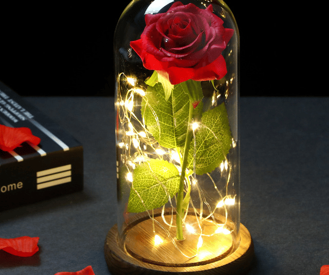Rose rouge éternelle sous cloche avec guirlande led