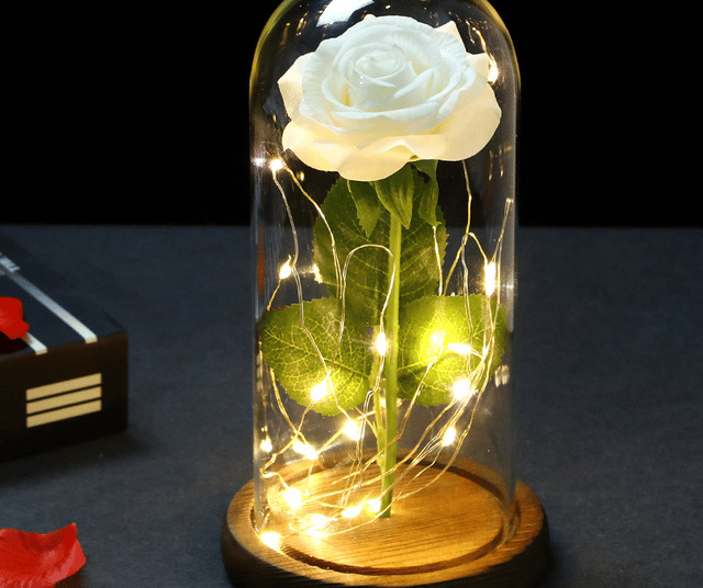 Rose éternelle blanche sous cloche avec lumière