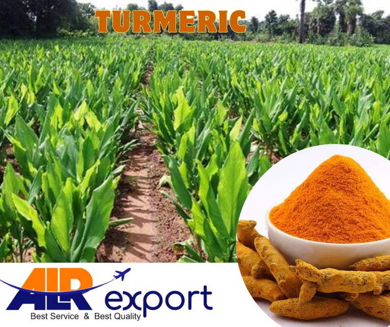 Halal-certified turmeric powder bulk packaging for Gulf export
