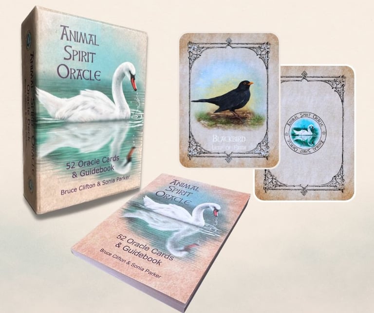Animal Spirit Oracle Classic deck box with cards and guidebook displayed