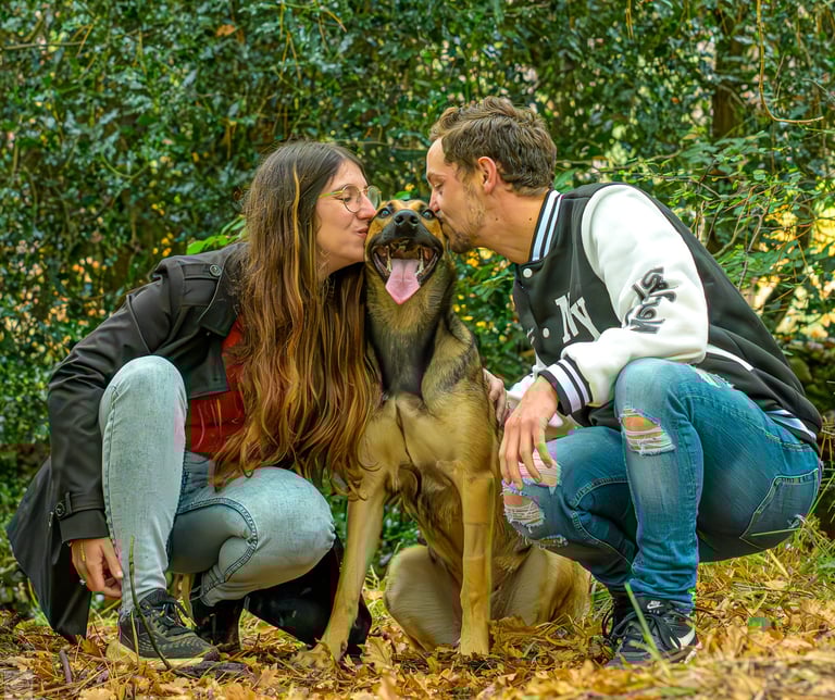 ärtage entre maitres et malinois