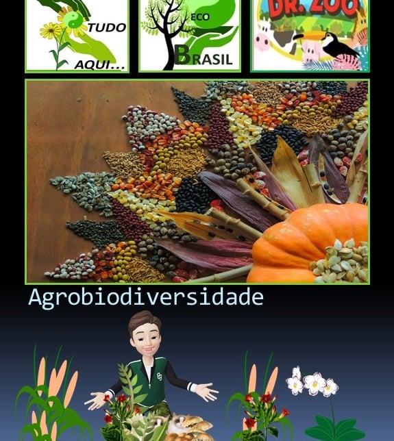 Agrobiodiversidade