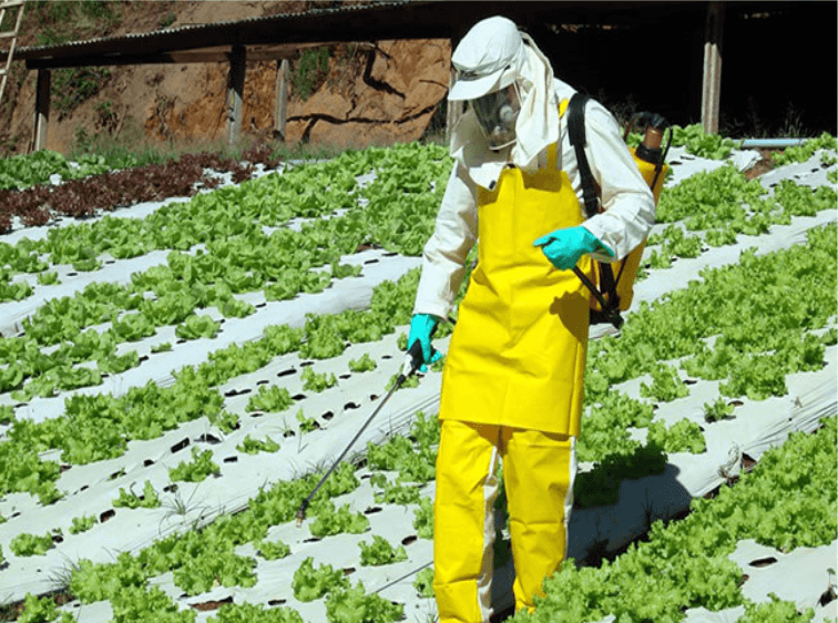 Manejo de Agrotóxicos