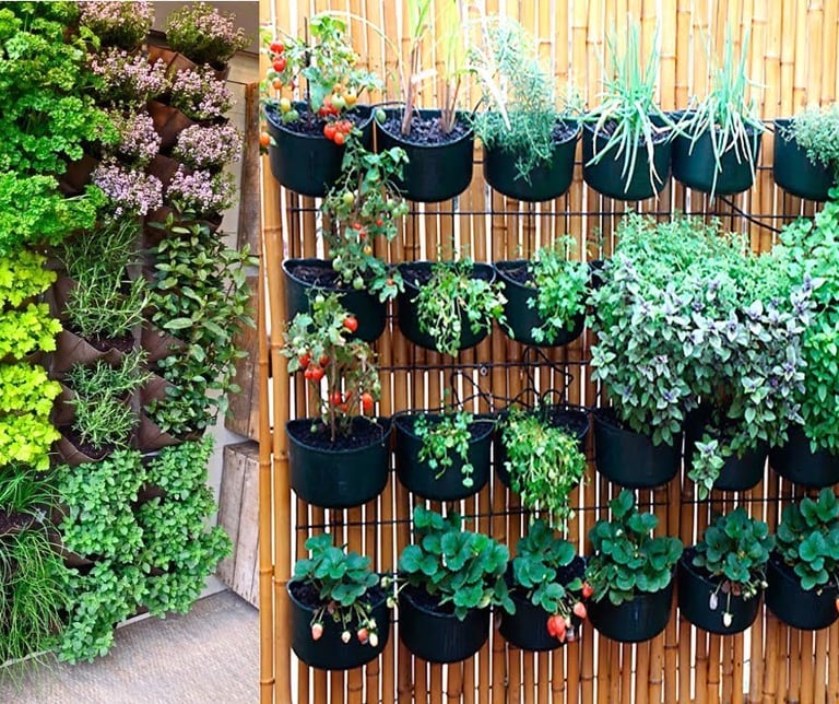 Hortas e Jardins Suspensos