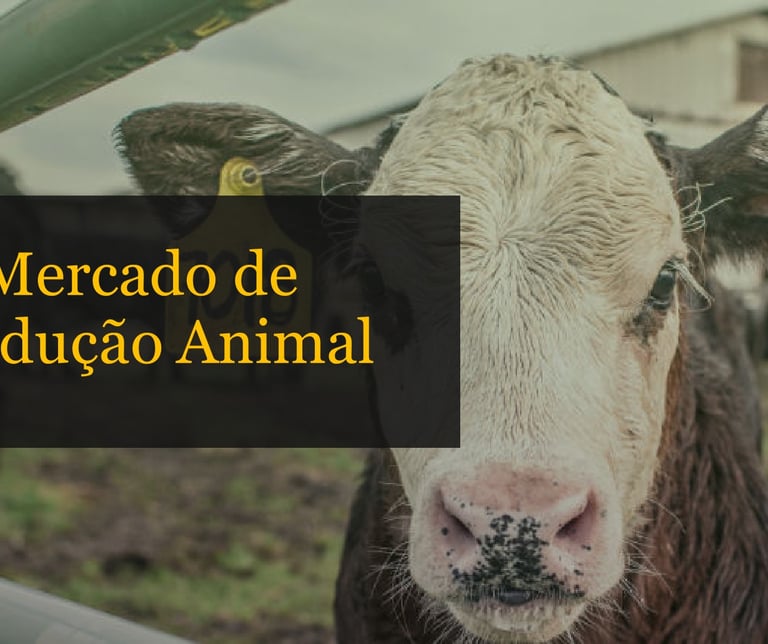 Mercado de Produção Animal