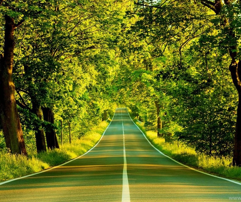 Midlife Reinvention