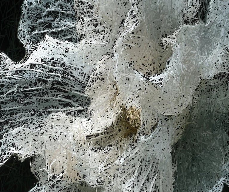 digital art, visual art, digital paintings, Joanna Wlaszyn