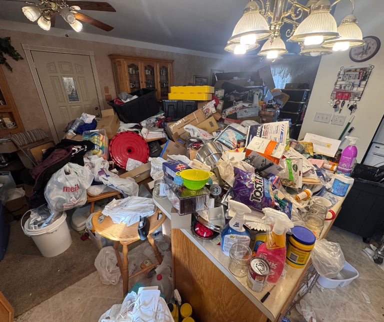 hoarder cleanout