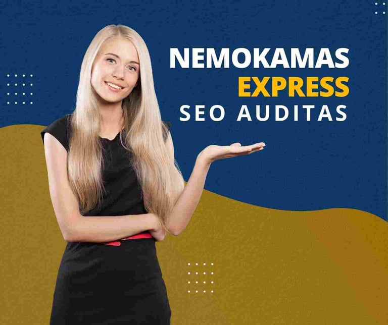 Nemokamas express seo auditas