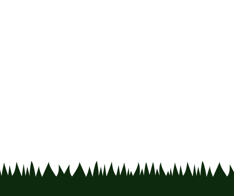 Grass design for use as visual assets in social media posts and advertising