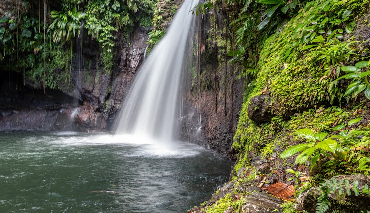 petit bourg voyage france guadeloupe