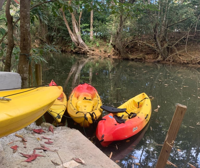 Kayak voyage france guadeloupe