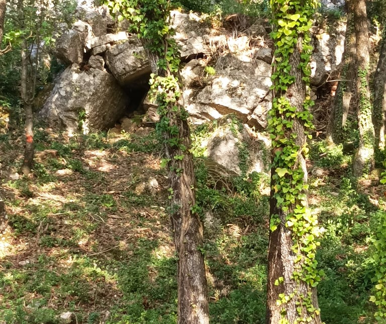 A hidden corner of our garden