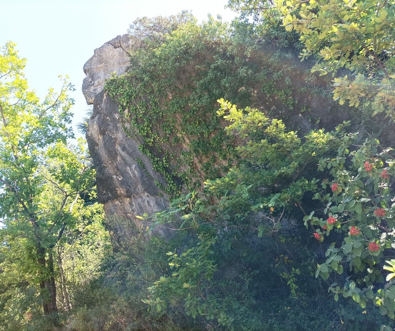 'The Sphinx'