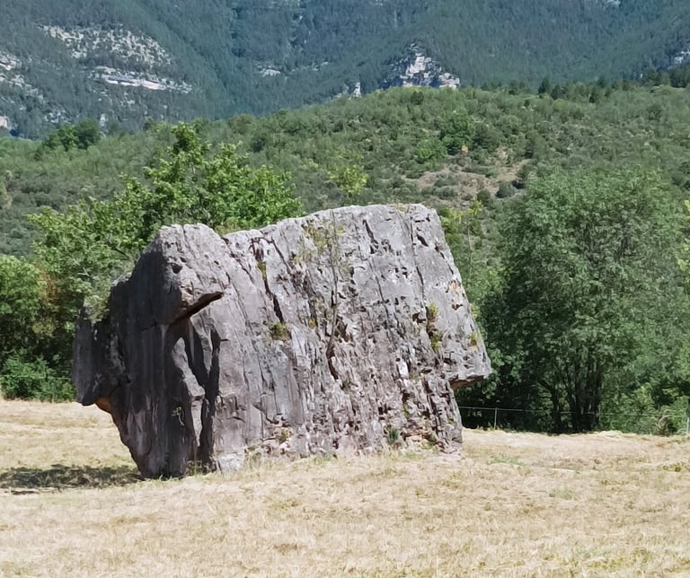 A giant 'perched block.'