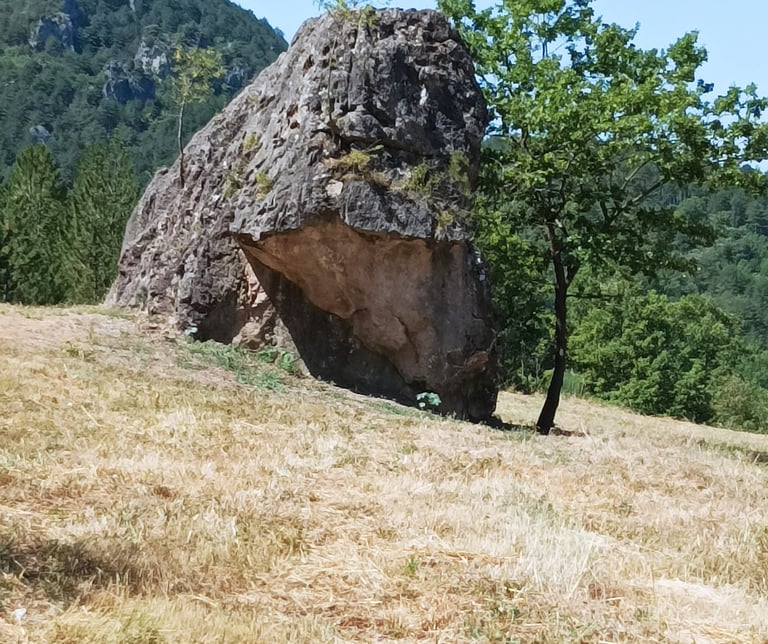 Another angle