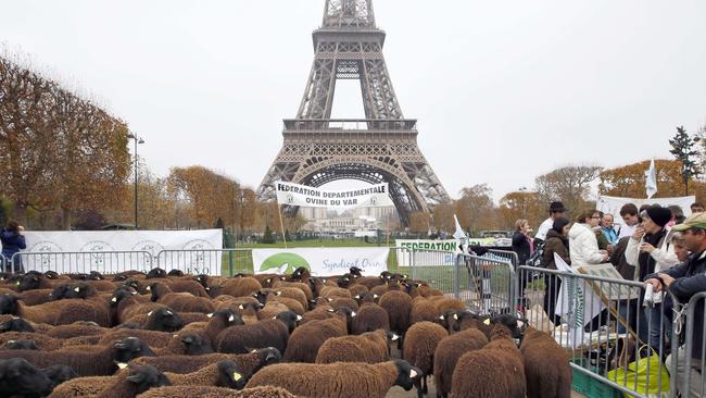 An anti wolf protest in Paris