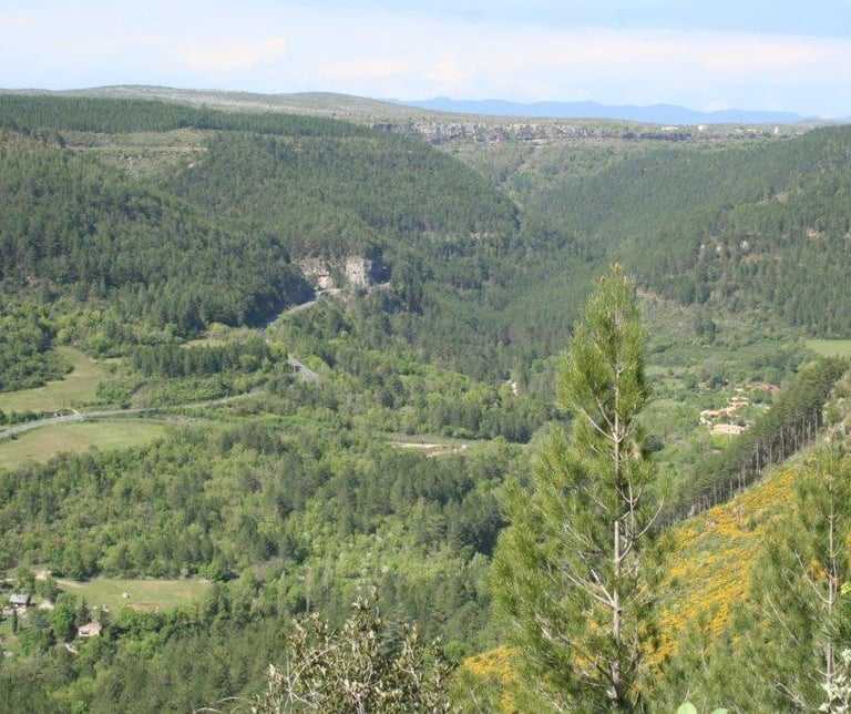Our road leading up to the Causses du Larzac