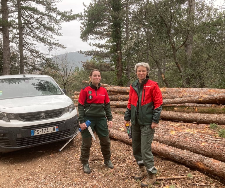 Marie-Eve and a forestry colleague.