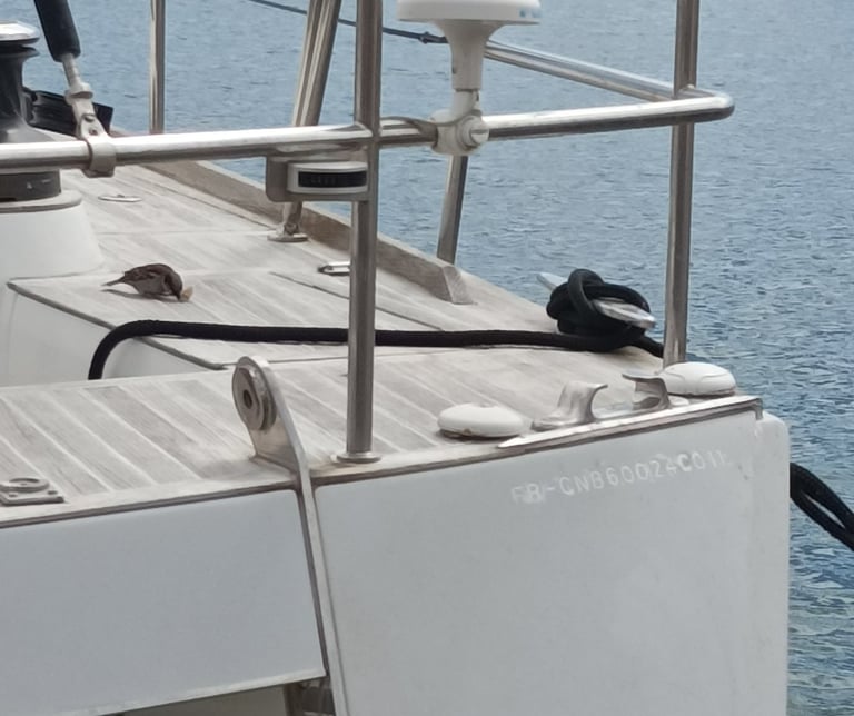 Dining aboard