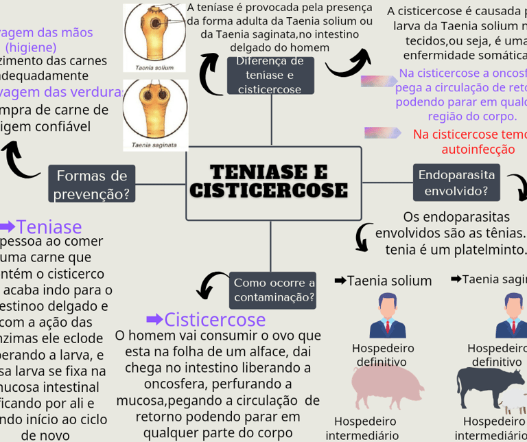 Ciclo teníase e Cisticercose