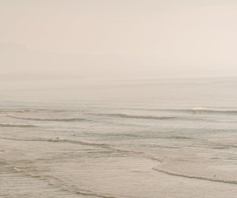 Conoce la esencia de nuestro proyecto: diarios de gratitud, cursos y herramientas para acompañarte en un camino de transforma