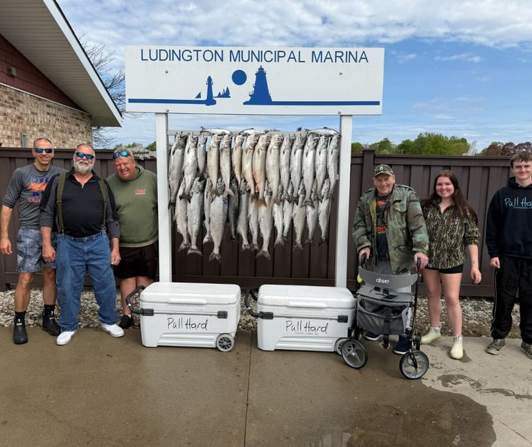 Ludington salmon fishing catch at Ludington Municipal Marina with Pull Hard Fishing