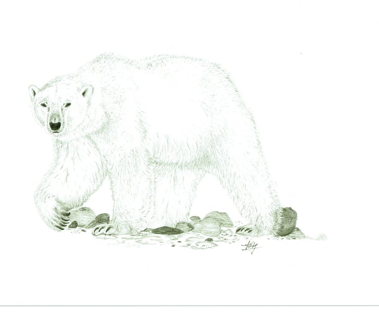 polar bear 6''X9''