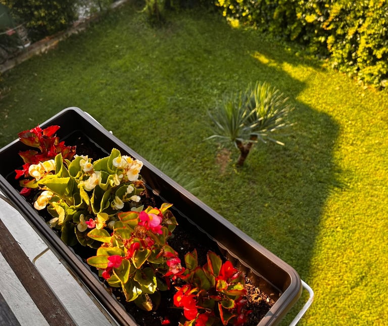 Quiet garden practice space at Yogessa Guest House, Lozenets Bulgaria. Ideal for nature-led yoga retreats.
