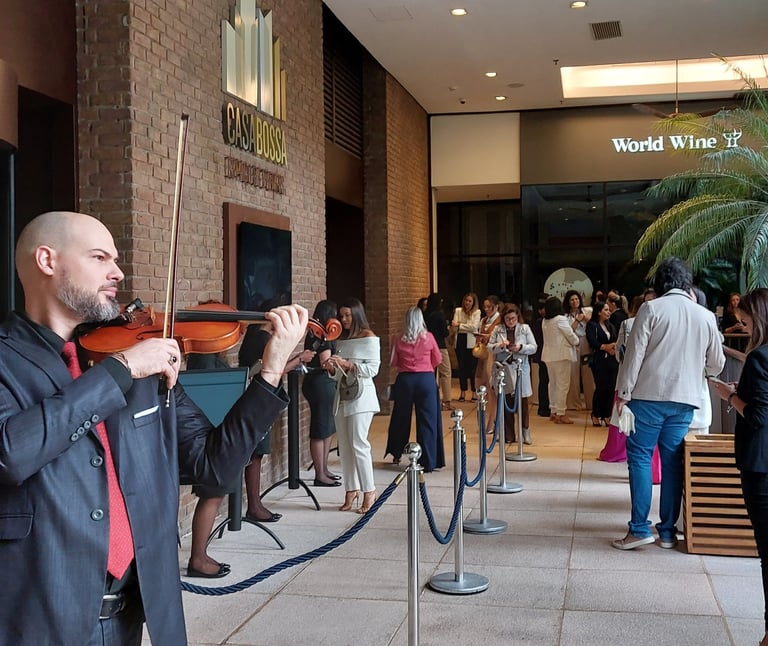 ivan fritzen violinista shopping cidade jardim