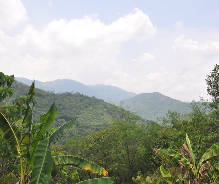 viewpoint in the mountains of Kerala, India 