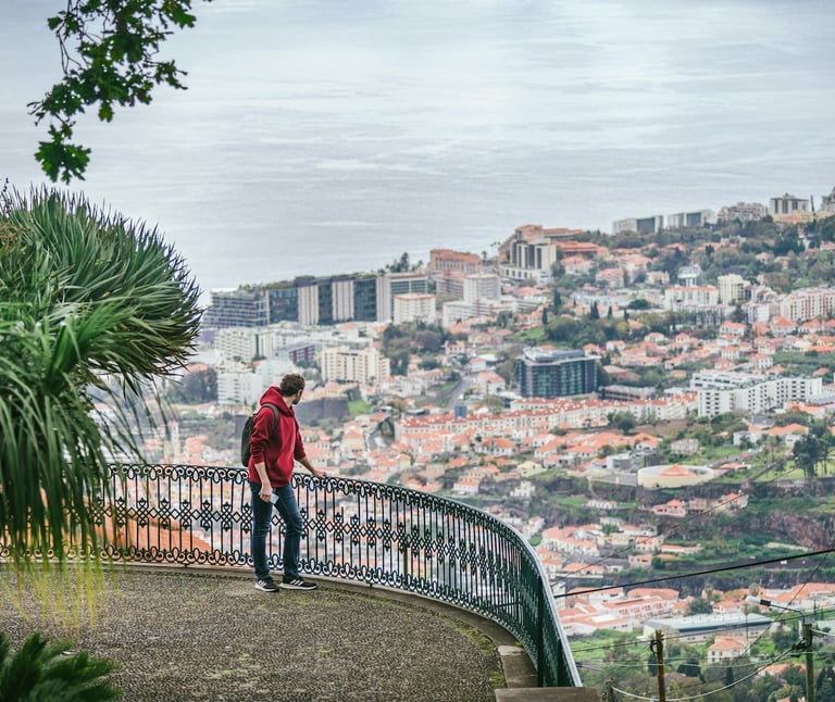 A panoramic view from a scenic viewpoint in Funchal, Madeira
