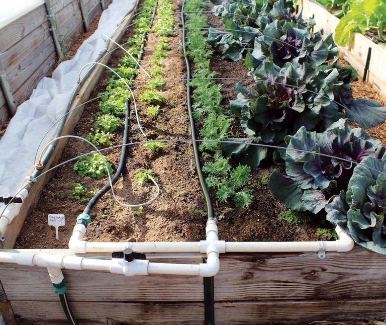 sistema de riego por goteo en huerto con tuberías y goteros