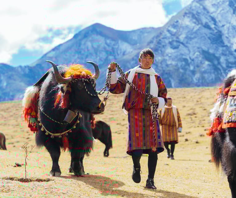 Layap_The_People_of_Laya_Pulling_off_His_Packed_Animal_Yak_during_laya-royal-highland-festival.jpg